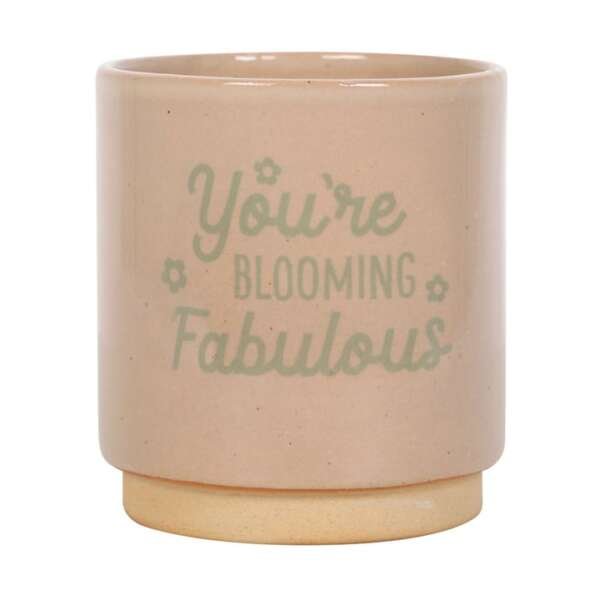 Cream Speckle Blooming Fabulous Plant Pot - Image 2