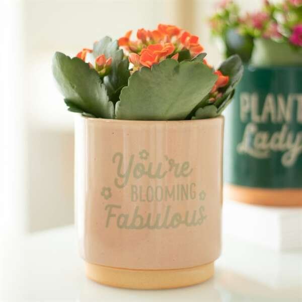 Cream Speckle Blooming Fabulous Plant Pot - Image 4