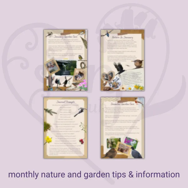 The Wildlife Gardener's Winter Journal - Image 3