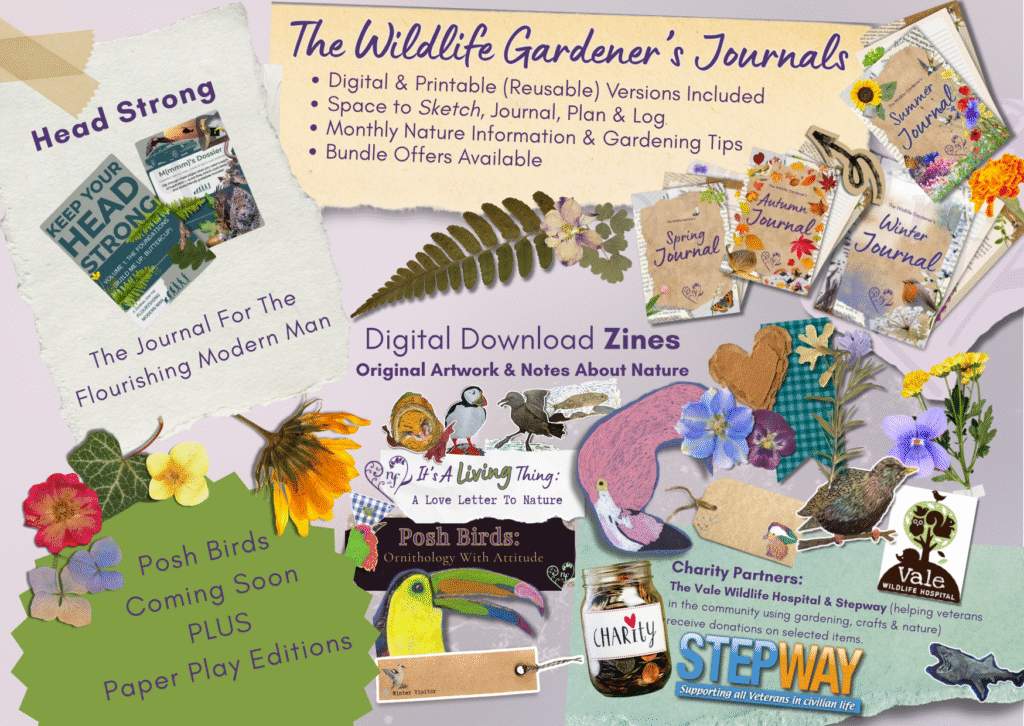 Images & details about the thoughtful digital gifts available from Nourish Flourish UK: Wildlife Gardener's Journals, Head Strong: The Journal for the Flourishing Modern Man, It's A Living Thing: A Love Letter to Nature Zine and charity partner logos: Stepway & The Vale Wildlife Hospital