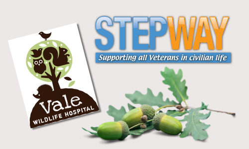 The Vale Wildlife Hospital & Stepeay logos with some oak leaves and acorns.