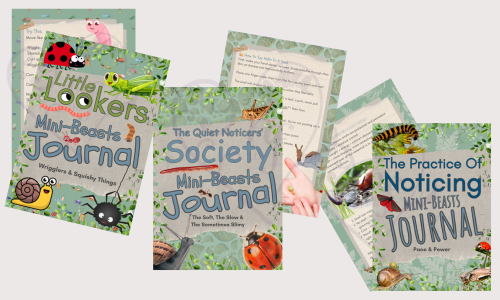 Covers for Little Lookers, The Quiet Noticers' Society & the Practice of Noticing Mini Beasts Journals.