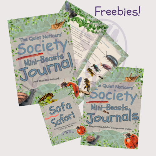 Freebies that come with the Quiet Noticers' Journal