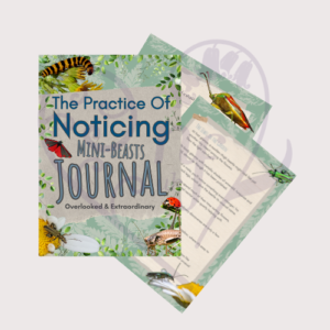 The Practice of Noticing Mini Beast Journal: Overlooked & Extraordinary