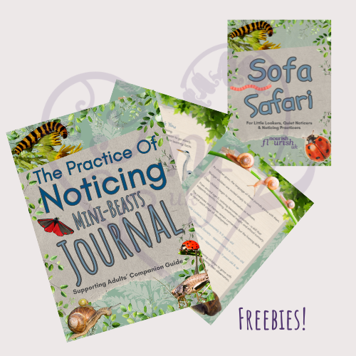 The Practice of Freebies with Noticing Mini Beast Journal: Overlooked & Extraordinary