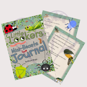 Little Lookers Mini Beasts Journal - Brilliant Bugs