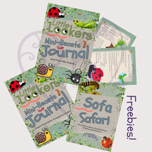 Freebies with Little Lookers Mini Beasts Journal - Brilliant Bugs