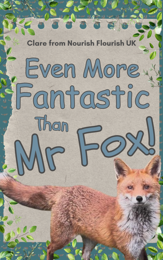 The cover of Even More Fantastic Than Mr Fox