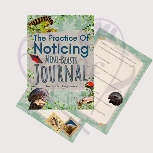 Cover of The Practice of Noticing - Hidden Engineers Nature Journal for Tweens and Teens & sample pages