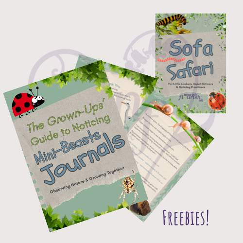 Sofa Safari * Supporting Adults Guide come FREE!