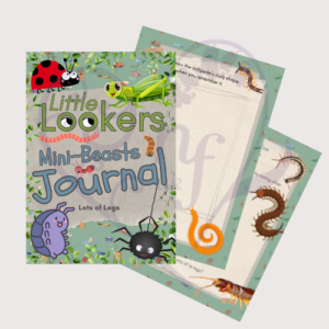 Little Lookers - Lots of Legs - nature journal for children aged 5 and under & sample pages
