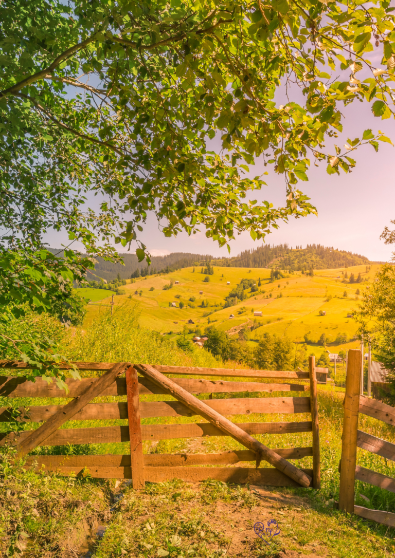 A view of rolling countryside with a gate slightly ajar in the foreground.